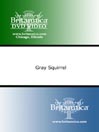 Gray Squirrel